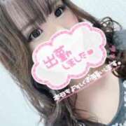 ヒメ日記 2025/05/16 19:58 投稿 スジエビ　筋海老 女の子市場