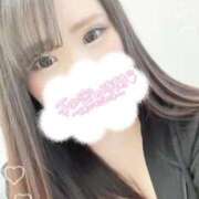 ヒメ日記 2025/05/17 21:58 投稿 スジエビ　筋海老 女の子市場