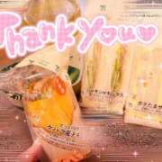 ヒメ日記 2025/05/18 11:48 投稿 スジエビ　筋海老 女の子市場