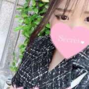 ヒメ日記 2025/05/20 03:38 投稿 スジエビ　筋海老 女の子市場