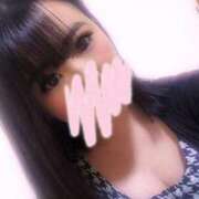 ヒメ日記 2025/05/20 22:18 投稿 スジエビ　筋海老 女の子市場