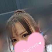 ヒメ日記 2026/02/18 18:18 投稿 スジエビ　筋海老 女の子市場