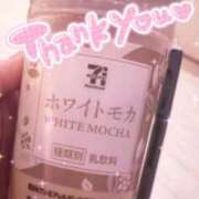 ヒメ日記 2026/02/21 14:28 投稿 スジエビ　筋海老 女の子市場