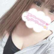 ヒメ日記 2026/02/24 12:23 投稿 スジエビ　筋海老 女の子市場