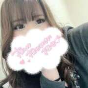 ヒメ日記 2026/02/25 17:23 投稿 スジエビ　筋海老 女の子市場