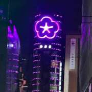 ヒメ日記 2025/04/04 01:28 投稿 冬月めめ 松戸人妻花壇