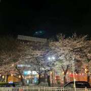 ヒメ日記 2025/04/09 13:23 投稿 冬月めめ 松戸人妻花壇