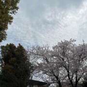 ヒメ日記 2025/04/10 18:19 投稿 冬月めめ 松戸人妻花壇