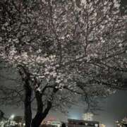 ヒメ日記 2026/04/01 22:48 投稿 冬月めめ 松戸人妻花壇