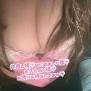 ヒメ日記 2024/12/28 10:19 投稿 りの 愛媛松山ちゃんこ