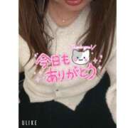 ヒメ日記 2024/12/29 08:59 投稿 りの 愛媛松山ちゃんこ