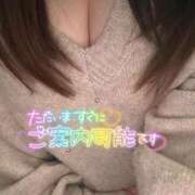 ヒメ日記 2025/01/11 20:59 投稿 りの 愛媛松山ちゃんこ