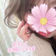 ヒメ日記 2025/03/10 08:39 投稿 りの 愛媛松山ちゃんこ