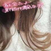 ヒメ日記 2025/03/17 14:19 投稿 りの 愛媛松山ちゃんこ