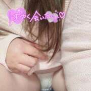 ヒメ日記 2025/03/23 19:31 投稿 りの 愛媛松山ちゃんこ