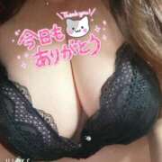 ヒメ日記 2025/04/07 22:09 投稿 りの 愛媛松山ちゃんこ