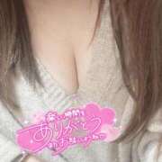 ヒメ日記 2025/04/11 10:31 投稿 りの 愛媛松山ちゃんこ