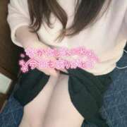 ヒメ日記 2025/04/22 08:22 投稿 りの 愛媛松山ちゃんこ