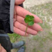 ヒメ日記 2025/06/08 09:49 投稿 りの 愛媛松山ちゃんこ