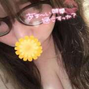 ヒメ日記 2025/06/11 09:49 投稿 りの 愛媛松山ちゃんこ