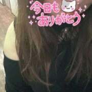 ヒメ日記 2025/06/26 09:19 投稿 りの 愛媛松山ちゃんこ