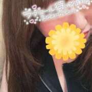 ヒメ日記 2025/06/30 07:49 投稿 りの 愛媛松山ちゃんこ