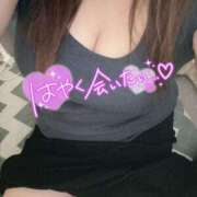 ヒメ日記 2025/07/01 12:09 投稿 りの 愛媛松山ちゃんこ