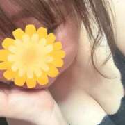 ヒメ日記 2025/07/23 10:19 投稿 りの 愛媛松山ちゃんこ