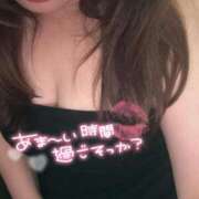 ヒメ日記 2025/07/27 07:29 投稿 りの 愛媛松山ちゃんこ