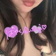 ヒメ日記 2025/07/29 06:49 投稿 りの 愛媛松山ちゃんこ