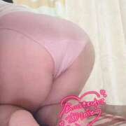 ヒメ日記 2025/08/31 08:59 投稿 りの 愛媛松山ちゃんこ