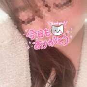 ヒメ日記 2025/09/11 21:45 投稿 りの 愛媛松山ちゃんこ