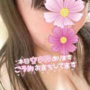 ヒメ日記 2025/11/02 20:19 投稿 りの 愛媛松山ちゃんこ