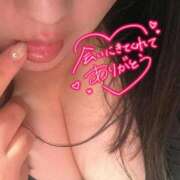 ヒメ日記 2025/11/07 14:49 投稿 りの 愛媛松山ちゃんこ