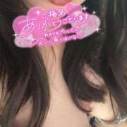 ヒメ日記 2025/11/18 13:19 投稿 りの 愛媛松山ちゃんこ