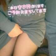 ヒメ日記 2025/11/22 20:45 投稿 りの 愛媛松山ちゃんこ