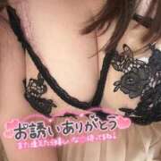 ヒメ日記 2025/11/23 13:09 投稿 りの 愛媛松山ちゃんこ