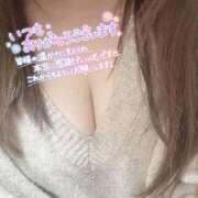 ヒメ日記 2025/11/26 12:09 投稿 りの 愛媛松山ちゃんこ