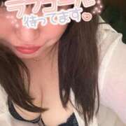 ヒメ日記 2025/11/30 18:09 投稿 りの 愛媛松山ちゃんこ