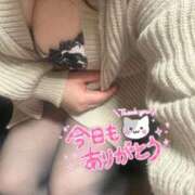 ヒメ日記 2025/12/31 23:12 投稿 りの 愛媛松山ちゃんこ