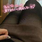 ヒメ日記 2026/02/02 08:19 投稿 りの 愛媛松山ちゃんこ