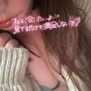 ヒメ日記 2026/02/06 15:19 投稿 りの 愛媛松山ちゃんこ