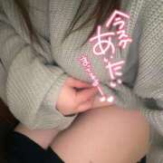 ヒメ日記 2026/02/09 08:49 投稿 りの 愛媛松山ちゃんこ