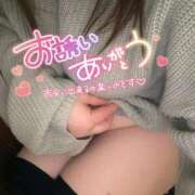 ヒメ日記 2026/02/21 18:29 投稿 りの 愛媛松山ちゃんこ