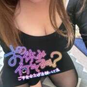 ヒメ日記 2026/02/23 12:29 投稿 りの 愛媛松山ちゃんこ