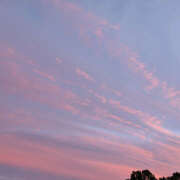 ヒメ日記 2025/11/07 15:48 投稿 小沢 池田マッサージ