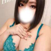 ヒメ日記 2025/08/22 11:24 投稿 ひびき ふわふわコレクション