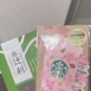 ヒメ日記 2026/02/24 10:50 投稿 白石かな(しらいしかな) 鶯谷ナンバーワン