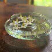 ヒメ日記 2025/06/10 09:05 投稿 市来 なな(イチキ ナナ) 翡翠の夢