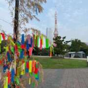 市来 なな(イチキ ナナ) 8月の予定。 翡翠の夢